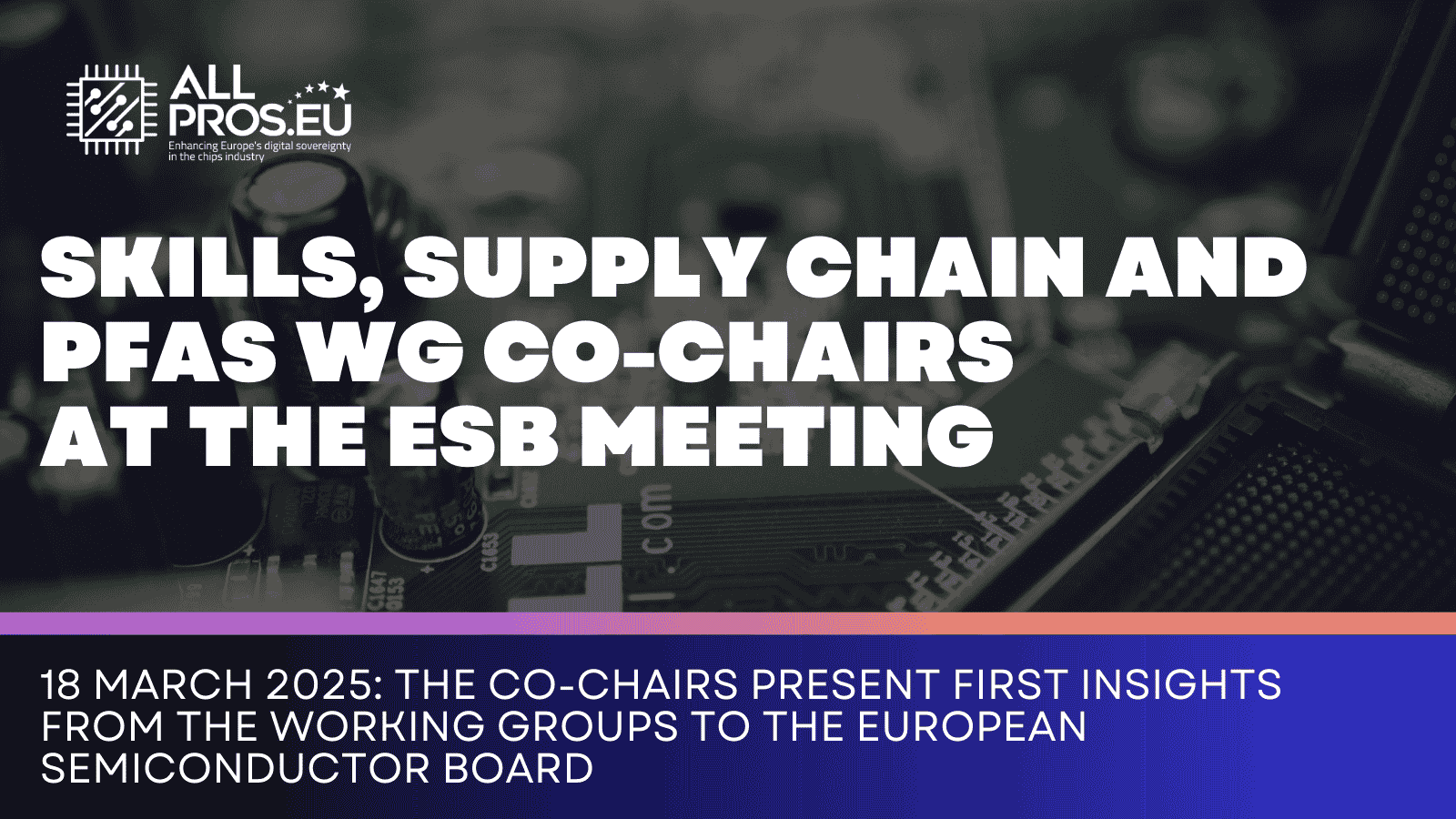 Our Working Group co-chairs at the ESB meeting