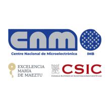 Institute of Microelectronics of Barcelona (IMB-CNM-CSIC)